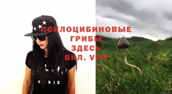 прущие крисы Каменка