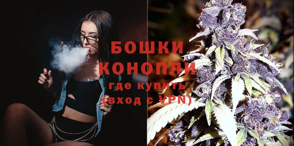 прущие крисы Каменка