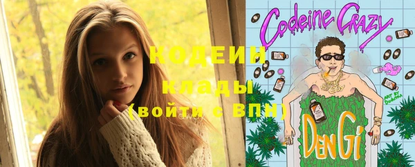 индика Каменск-Шахтинский
