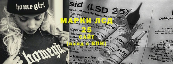 индика Каменск-Шахтинский
