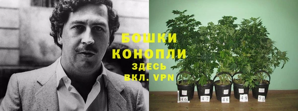 мдма Каменногорск